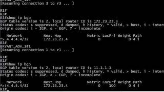 "Whoops!" A CCNP And CCNP Video Boot Camp