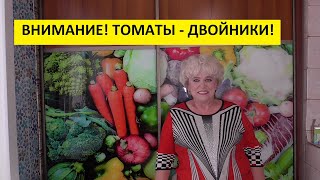 От томатов - двойников буду избавляться! 