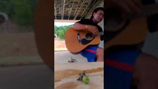 Tusin - Omar Gurisan ( Duit )