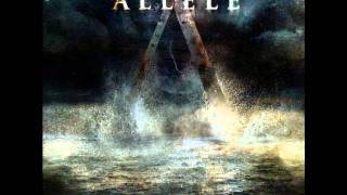 Allele: WHAT I GET