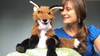 Fenella Fox introduces herself.
