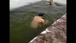 Winter swimming Bremen 2010 - Бременские моржи 2