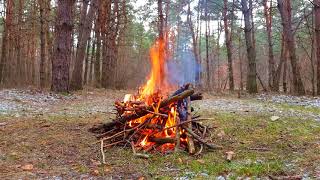 Расслабляющие звуки Костра в лесу, звуки природы  Full HD Video 1080p