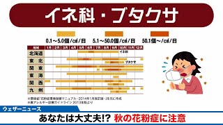 鼻水やクシャミ、目のかゆみ…　必見！秋の花粉症対策