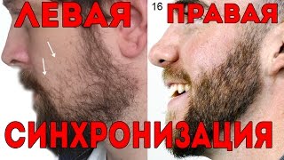 Синхронизация бороды - ЧТО ЭТО???