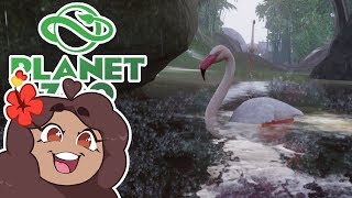 The Cherry Blossom QUEEN of Flamingos!! ? Daily Planet Zoo! • Zoodesia! • Day 79