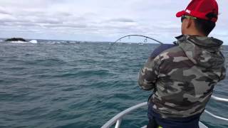 Getting sharked!