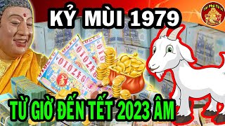 Biết Trước Thiên Cơ Kỷ Mùi 1979 Gánh Lộc Về Nhà Từ Nay Đến Tết 2023 Đếm Tiền Sái Tay