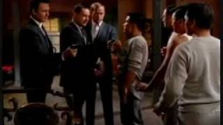 The Green Hornet Preying Mantis Part 1