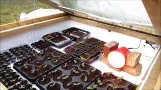 Теплица с подогревом своими руками ч3