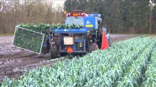 ASA-LIFT PO-335 Hermans Holland
