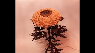 Ранункулус из изолона.Настольный светильник.Мастер класс.