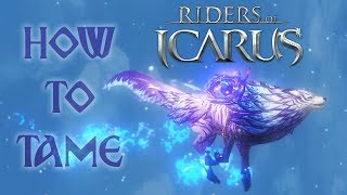 Riders of Icarus: HOW TO GET TORKAI! (Mark Guide)