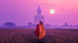 Positive Music To Raise Energy Levels | 528Hz Miracle Meditation | Frequency Healing Music | Detox