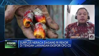 Sebab Surplus Neraca Dagang RI Rekor Saat Ekspor CPO Dilarang