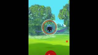 POKEMON寶可夢﹣CP1298的大嘴蝠，圈圈紅到快破表