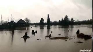 Наводнение Лобва, Вода прибывает.