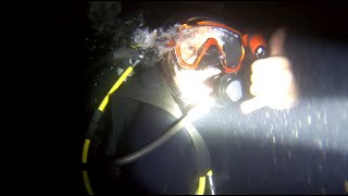 Scuba @ Shaw's Cove, Irvine, CA