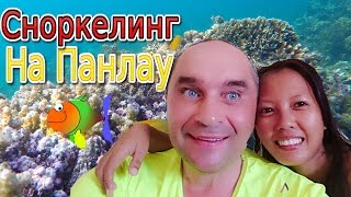 Как выглядит дно на пляже Долхо, Сноркелинг на Панлау | Жизнь на Филиппинах
