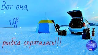 Рыба кишит!!! Рыбалка на Братском водохранилище!