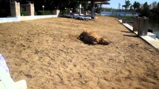 Маёвка 2012- Satul Moldovenesc