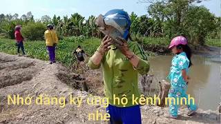 Đại gia đình rủ nhau kéo cá [ cuộc sống miền quê việt nam ]