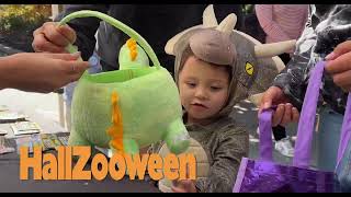 Hallzooween 2023 Sponsored by GECU - Cincinnati Zoo