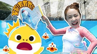 鯊魚家族遇險了！碰碰狐旋律水族館套裝 游泳池 玩水游戲-基尼