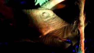 Era T-Rex