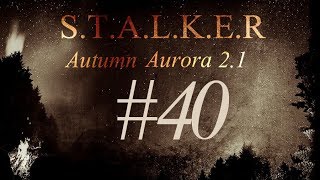 STALKER Autumn Aurora 2.1 #40 Road to the antenna
