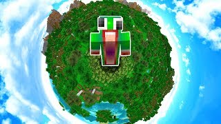 WHAT IF THE MINECRAFT WORLD WAS THIS SMALL?