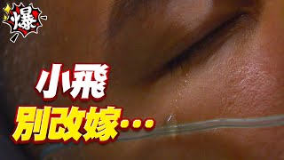 《多情大爆爆》多情城市 EP236 小飛別改嫁···