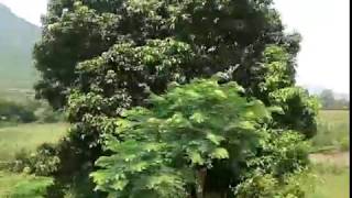 MONSOON Railways in INDIA | Koraput Rayagada Journey through Tunnels