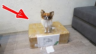 БОЛЬШАЯ ПОСЫЛКА ИЗ КИТАЯ. МУТНЫЕ КИТАЙЧИКИ.