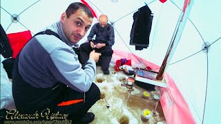 НА ЛЕСНОМ ОЗЕРЕ СО ШВАРЦОМ \ С ПЕЧКОЙ В -20 КАК ДОМА \ ЩУКА НА КАМЕРУ \ ЗИМНЯЯ РЫБАЛКА 2019-20