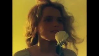 Черная Роза. Музыкальный видеоклип. Самым лучшим сказкам посвящается.