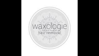 Women’s Brazilian Wax