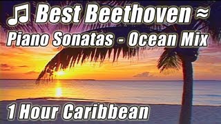 Best Piano Classical Music for Studying BEETHOVEN Moonlight Sonata Study Classic Playlist Video