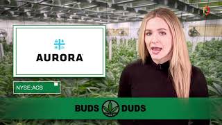 Buds & Duds: Marijuana stocks mixed at open; CB2 Insights heads higher on new partnership