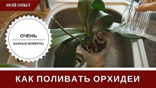 Полив Орхидеи ? Как Поливать ? Тонкости И Секреты ?  Чтобы Не Было Проблем И Загнивания