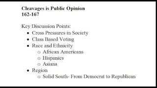 Cleavages in Public Opinion