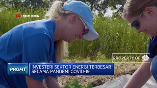 Chevron Beli Noble Energy Rp 70 Triliun