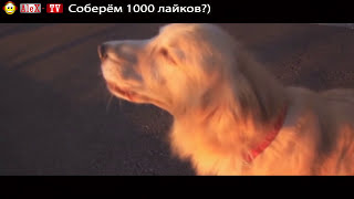 ✅ Осторожно Сумасшедшие Приколы ! Смешные Подборка №1 HappY YouTube! Best Crazy  Fun! Funny!