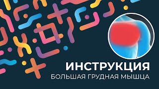 Kinexib - тейпирование большой грудной мышцы