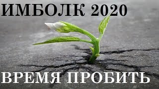 БЛИЗНЕЦЫ ИМБОЛК 2020 ТАРО
