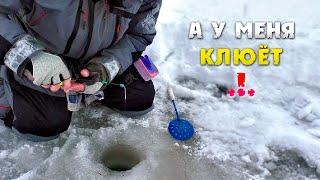 Что будет, если пойти на рыбалку в плохое время?! Зимняя рыбалка.