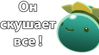 Он скушает все ! ( Slime rancher )