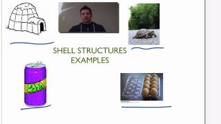 Science 7 Shell Structures Topic 1