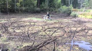IRBIS VIRAGO 110 в болоте! не хуже TTR 125
