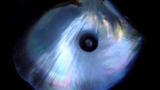 Jonny Shaker - Pearl River